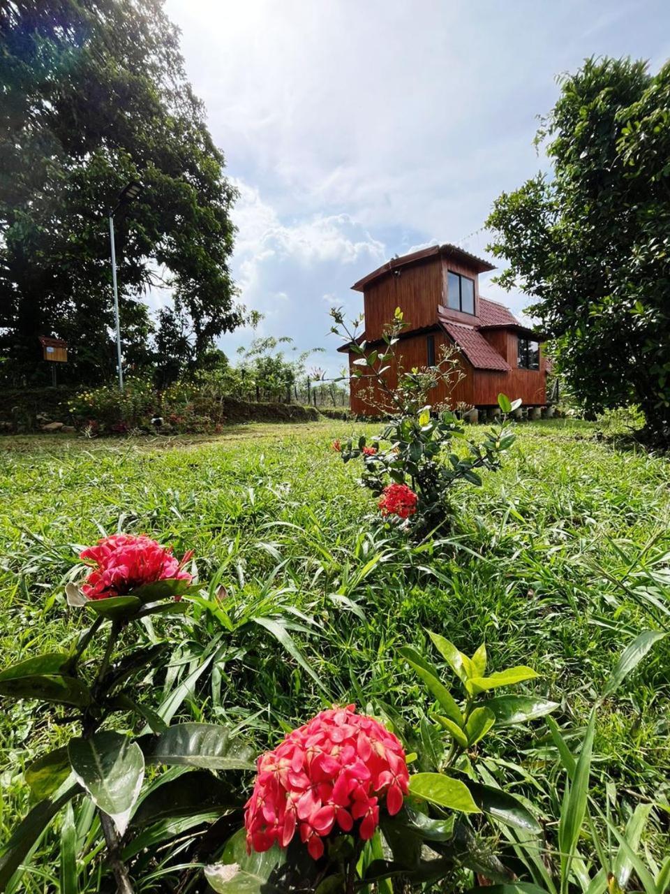 Myra Chalets Бійягуа Екстер'єр фото
